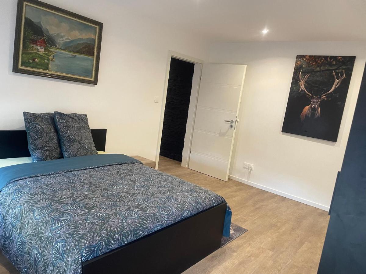Superbe Appartement Au Rdc Avec Cheminee Villerupt 外观 照片
